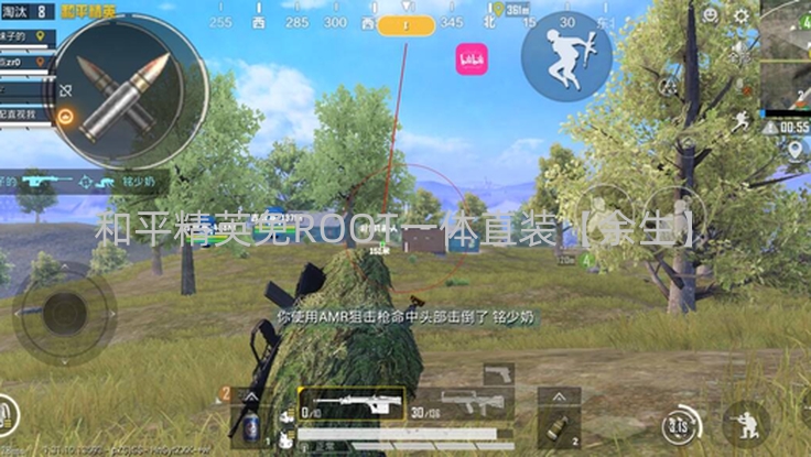 和平精英免ROOT一体直装【余生】